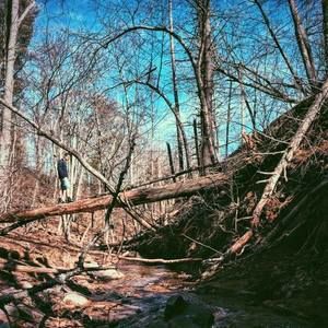 Meet your Posher, Tucker